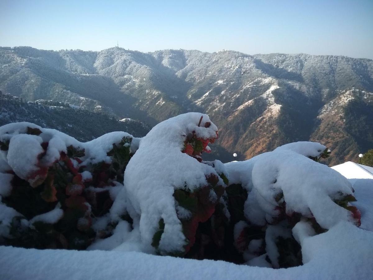 Spangle Heights Shimla, Suites And Residences Eksteriør billede